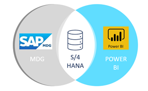 SAP MDG Analytics meets PowerBI: Display of a change request